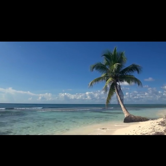 Meet your Posher, Sophie - Picture 1 of 1